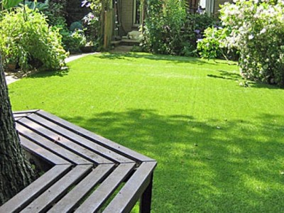 Thiết kế thi công cỏ sân vườn