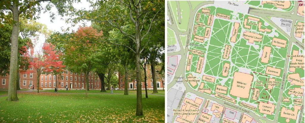 Bản thiết kế khuôn viên sân vườn