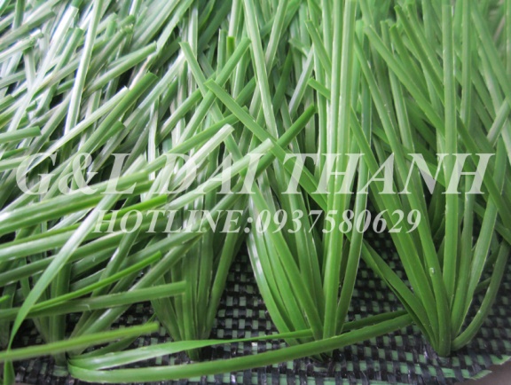 Cỏ nhân tạo dành cho sân bóng đá
