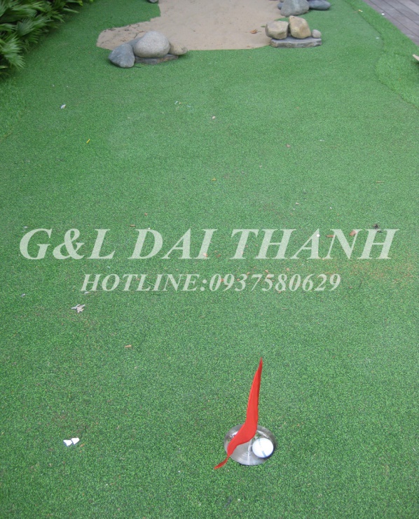 cỏ nhân tạo sân golf 111111111111