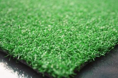 Mua thảm tập 3D chất lượng