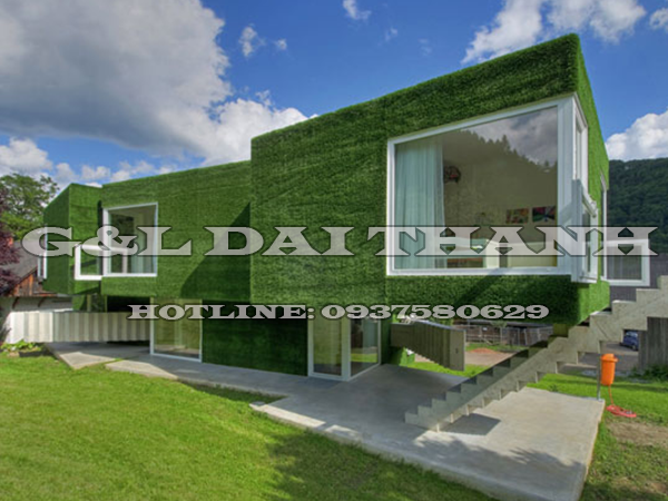Cỏ nhân tạo sử dụng cho sân vườn gia đình